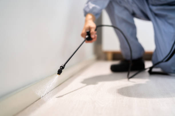 Professional exterminator conducting IPM assessment in Auxvasse